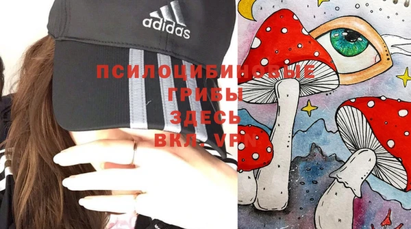 спиды Армянск