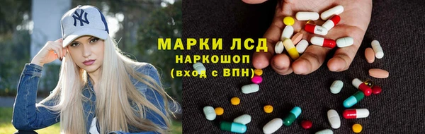 PSILOCYBIN Балахна