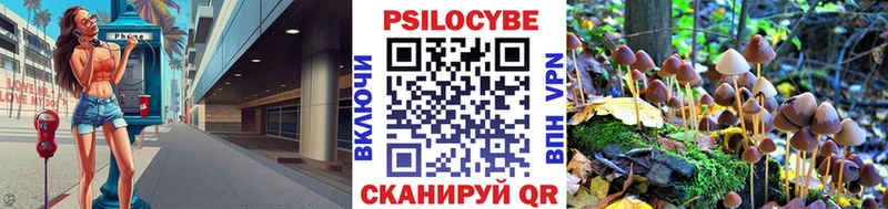 что такое   Балей  Псилоцибиновые грибы GOLDEN TEACHER 